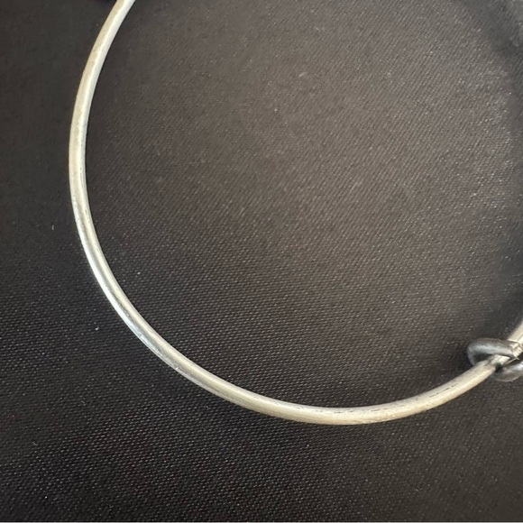 Alex and Ani Paw Print Crystal Charm Expandable Bangle Bracelet Silver Tone, NWT - Picture 7 of 10